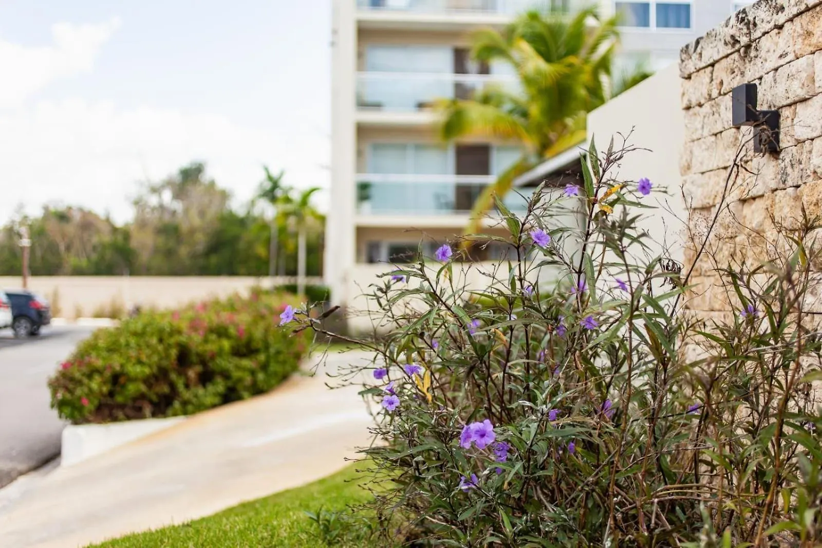 Apartamento Lujoso Y Exclusivo A 15 Minutos Andando De La Playa La Laguna 0*,  República Dominicana